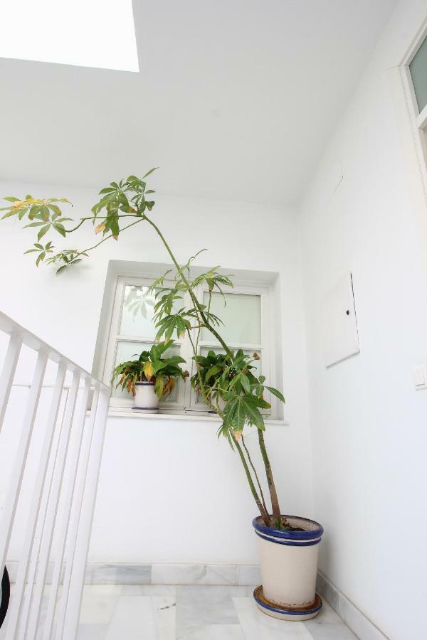 Apartamento Centro San Luis Seville Exterior photo